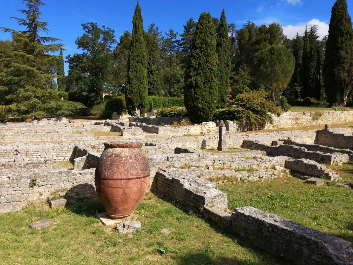 Au Villadior - Vaison La Romaine Buitenkant foto