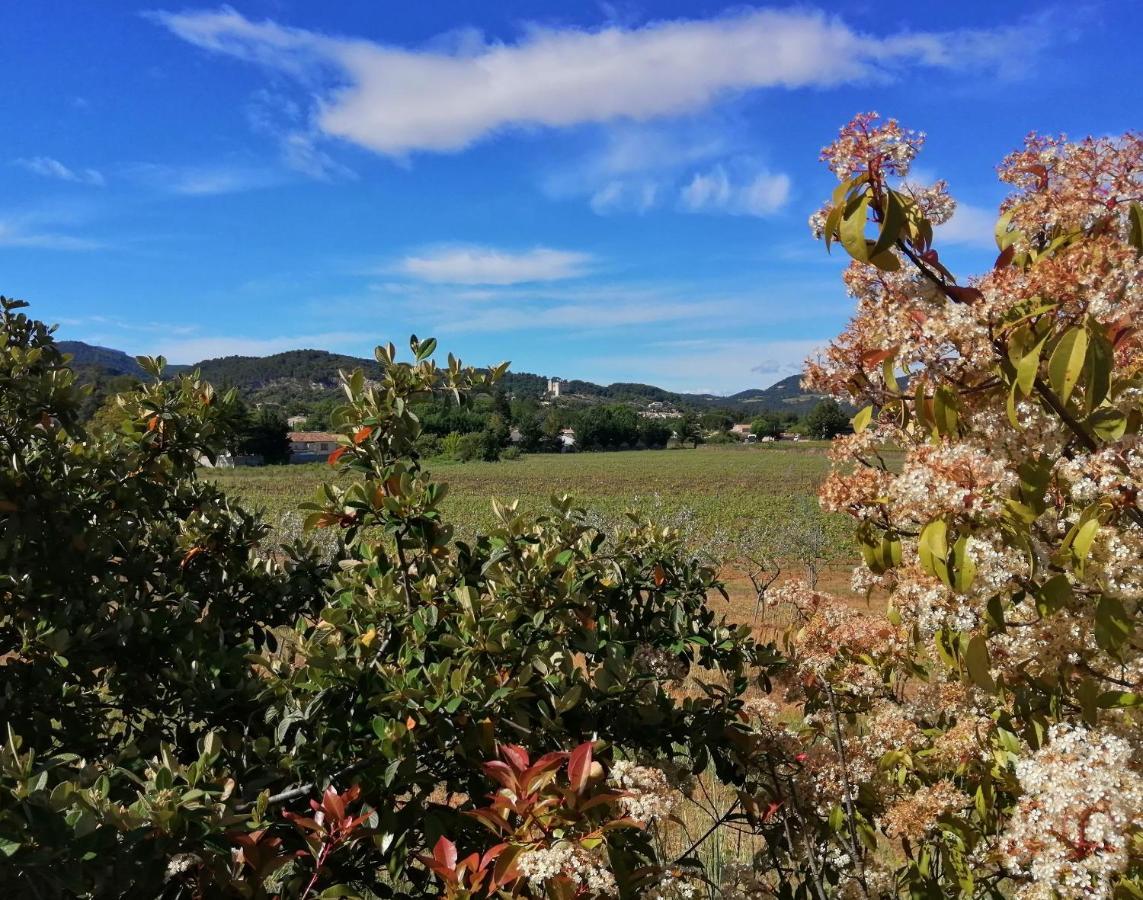 Au Villadior - Vaison La Romaine Buitenkant foto