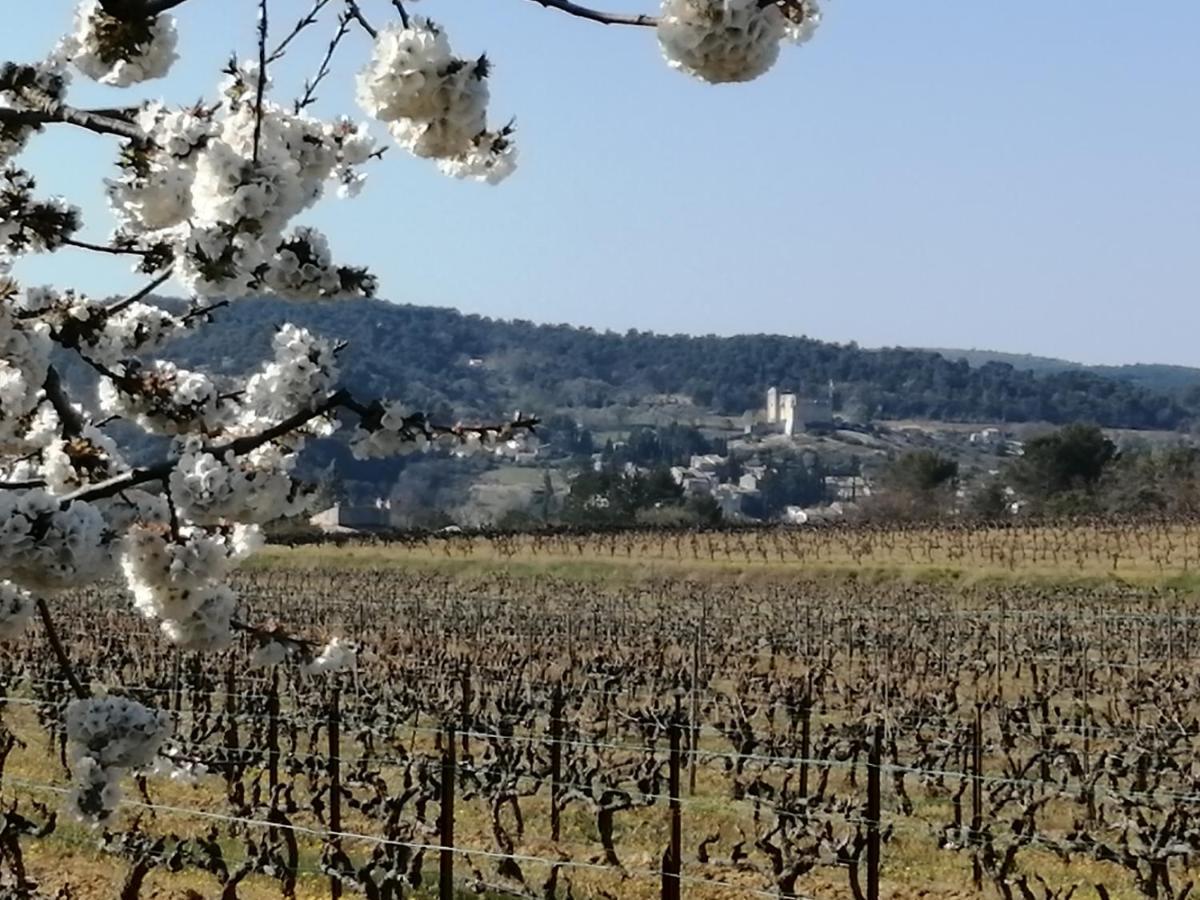 Au Villadior - Vaison La Romaine Buitenkant foto