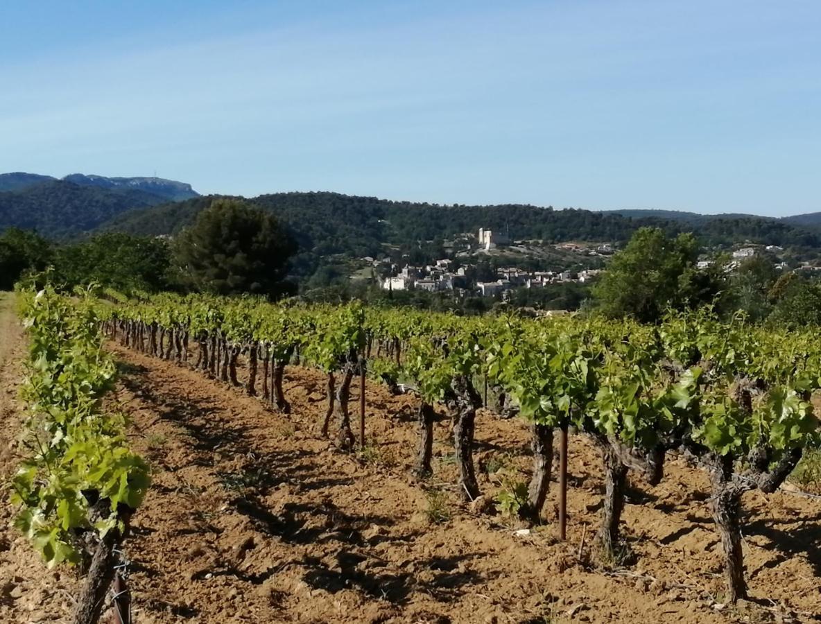 Au Villadior - Vaison La Romaine Buitenkant foto