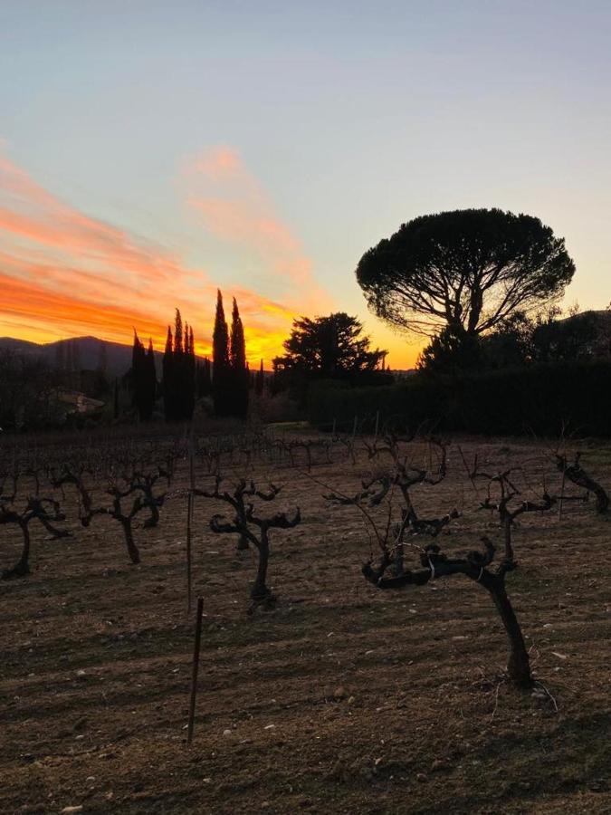 Au Villadior - Vaison La Romaine Buitenkant foto